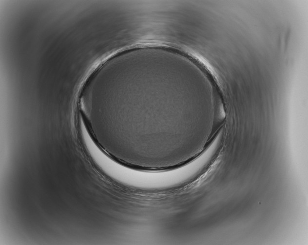 X0000093751461200710161148