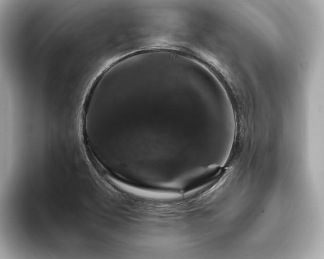 X0000093751463200710161148