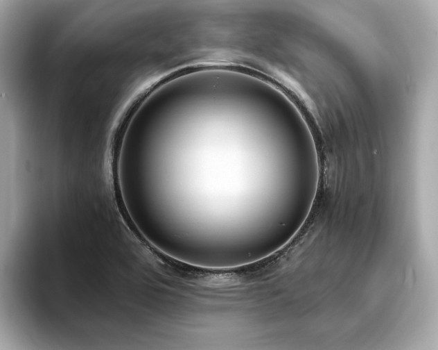 X0000093751464200710161148