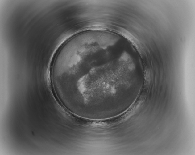 X0000093751466200710161148