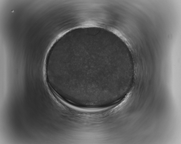 X0000093751469200710161148