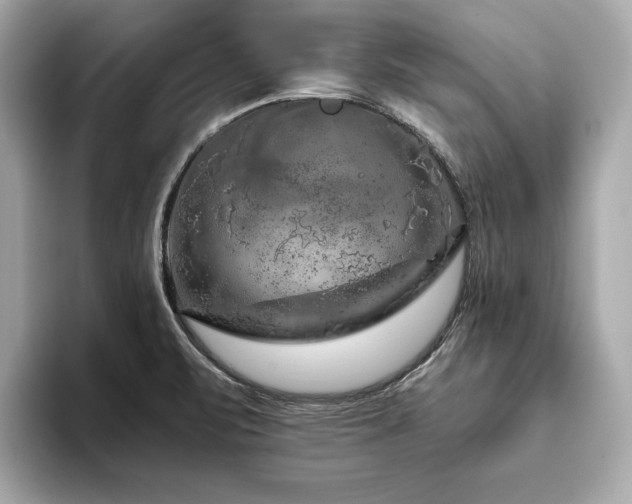 X0000093751471200710161148