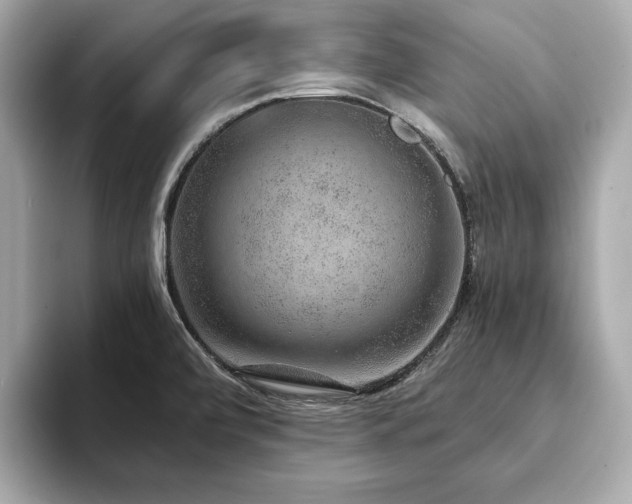 X0000093751472200710161148
