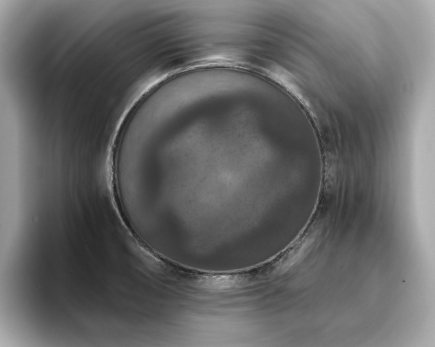 X0000093751474200710161148