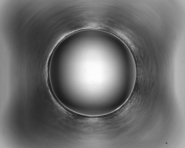 X0000093751479200710161148