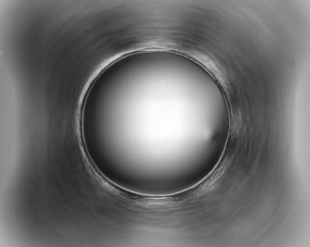 X0000093751486200710161148