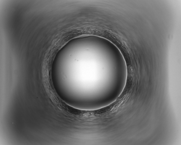 X0000093751489200710161147