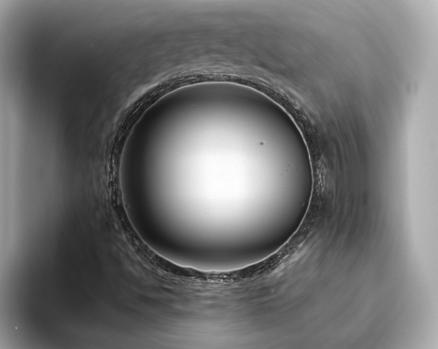 X0000093751494200710161148