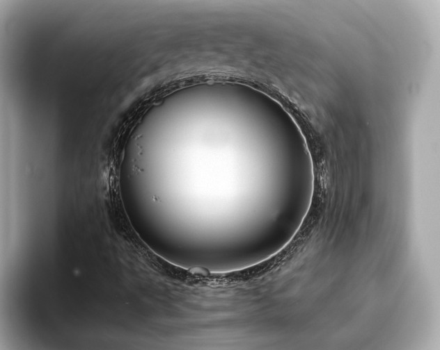 X0000093751495200710161148