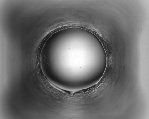 X0000093751496200710161148