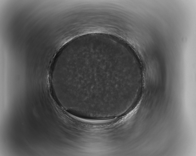 X0000093751497200710161148
