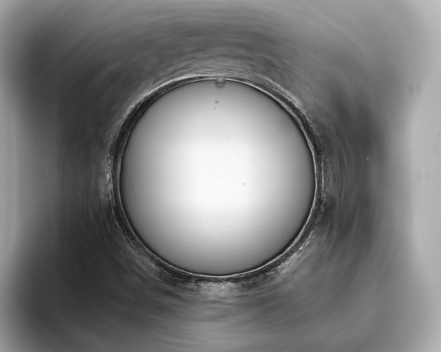 X0000093751498200710161148