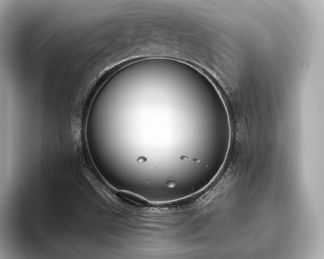 X0000093751499200710161148