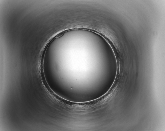X0000093751500200710161148
