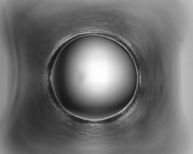 X0000093751501200710161148