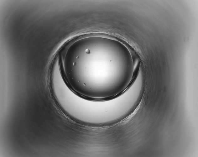 X0000093751502200710161148