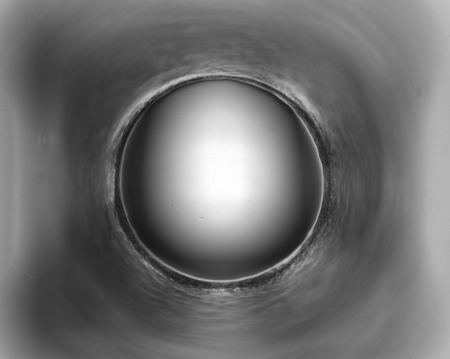 X0000093751504200710161148