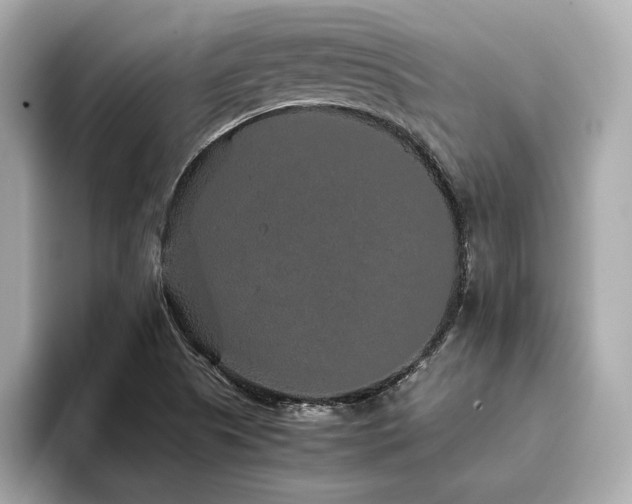 X0000093751505200710161148