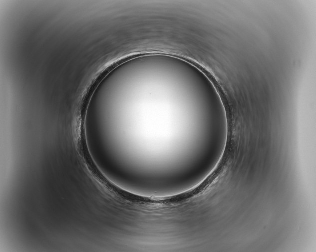 X0000093751507200710161148
