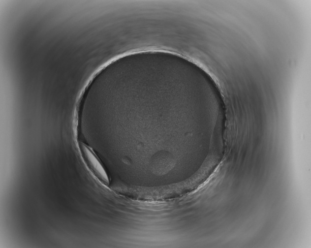 X0000093751508200710161148