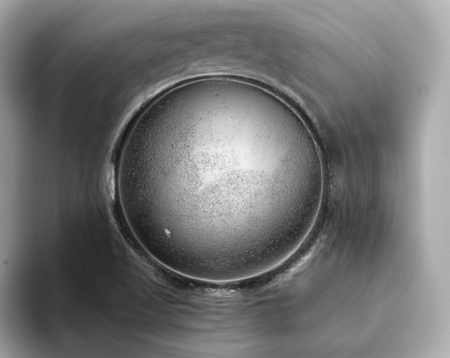 X0000093751509200710161148