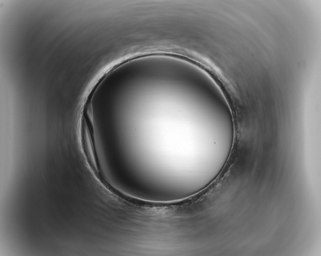 X0000093751512200710161148