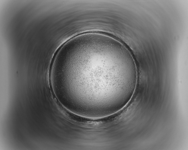 X0000093751513200710161148