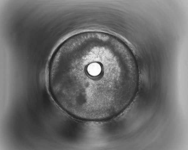X0000093751514200710161148