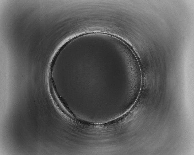 X0000093751515200710161148