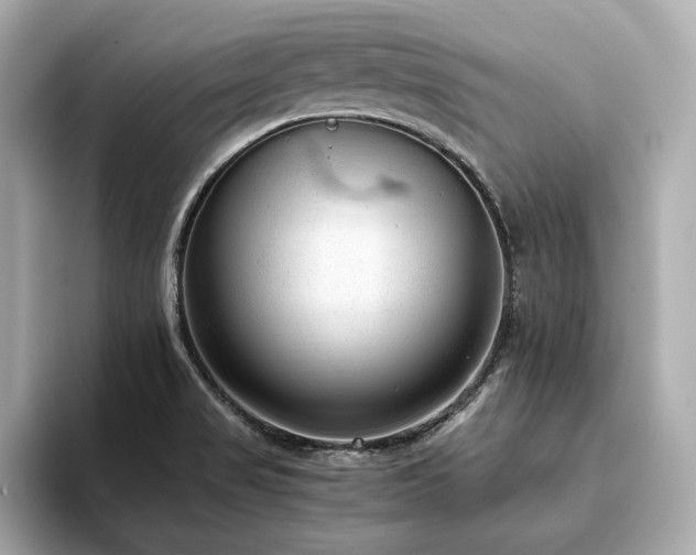 X0000093751517200710161148