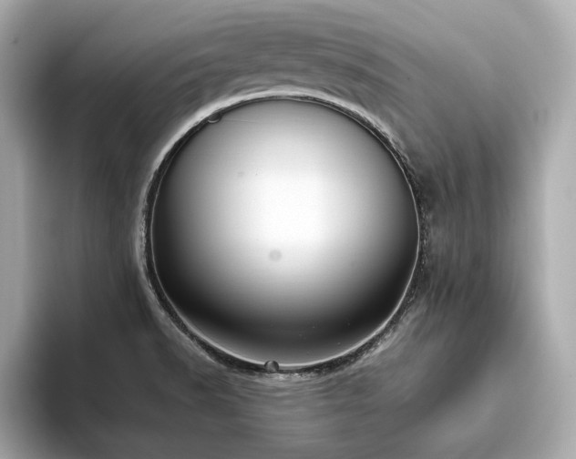 X0000093751518200710161148