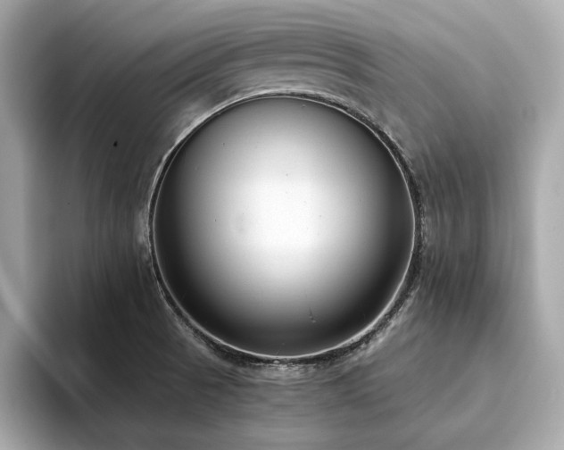 X0000093751521200710161148