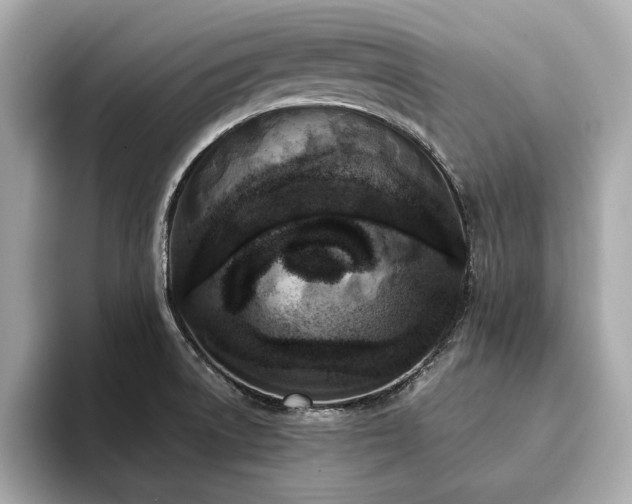 X0000093751522200710161148