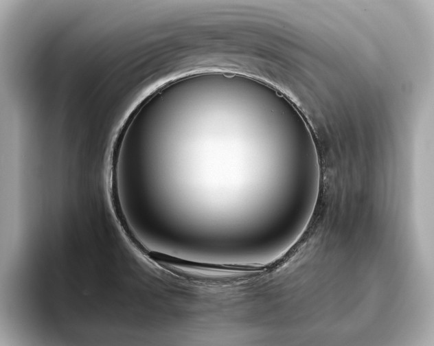 X0000093751523200710161148