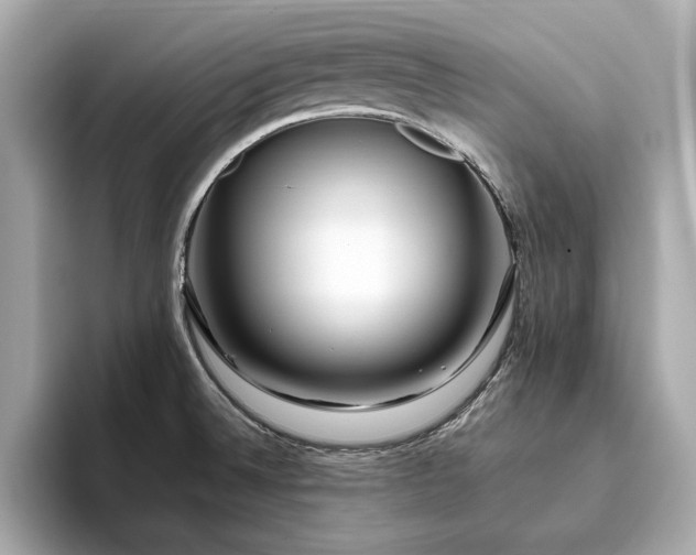 X0000093751524200710161148