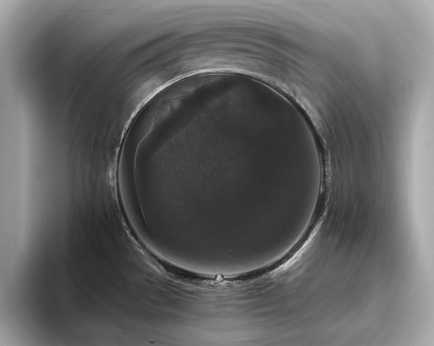 X0000093751529200710161148