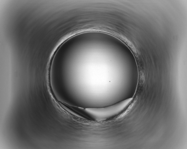 X0000093751530200710161148