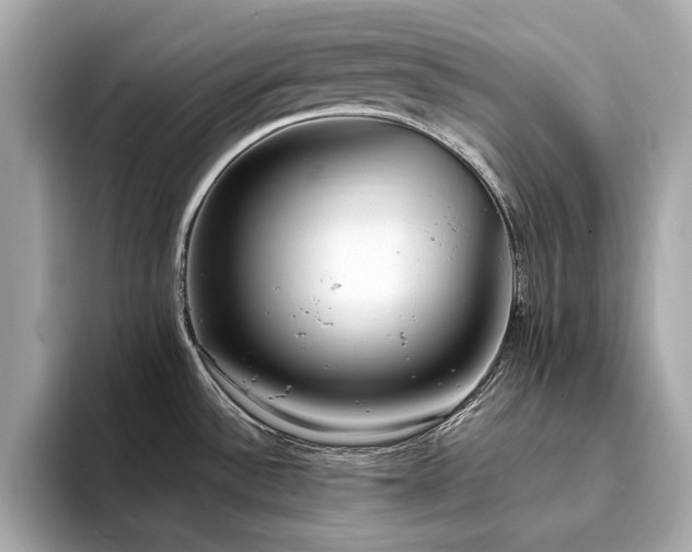 X0000093751532200710161148