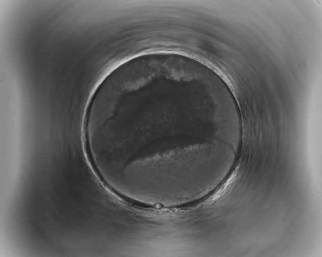 X0000093751533200710161148