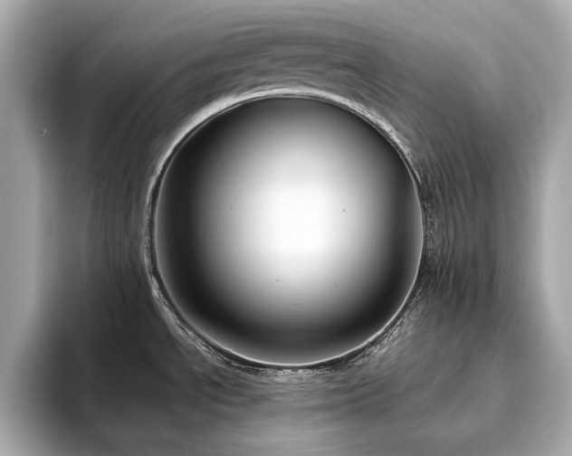 X0000093751534200710161148