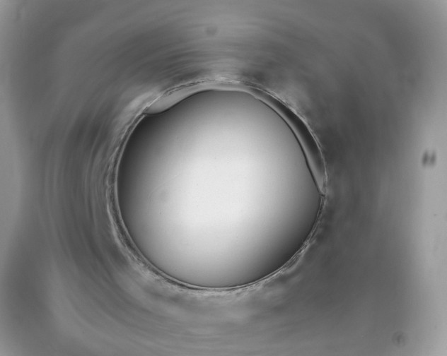 X0000093750001200710231242