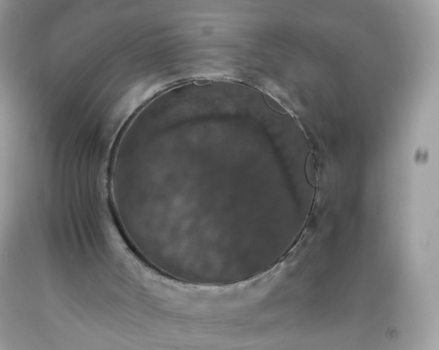 X0000093750002200710231242