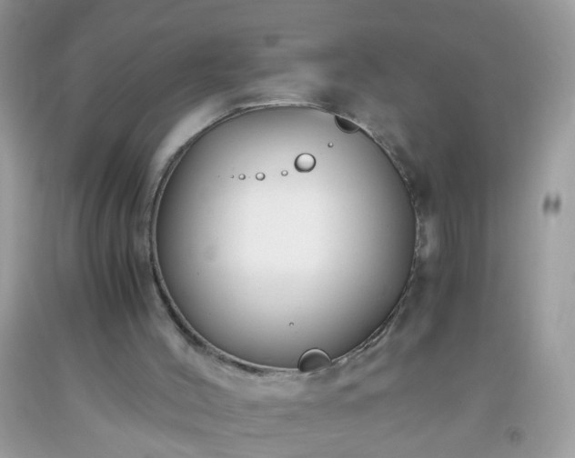 X0000093750004200710231242