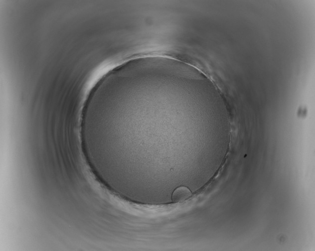 X0000093750006200710231242