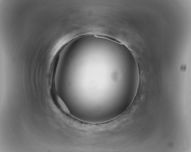 X0000093750007200710231242