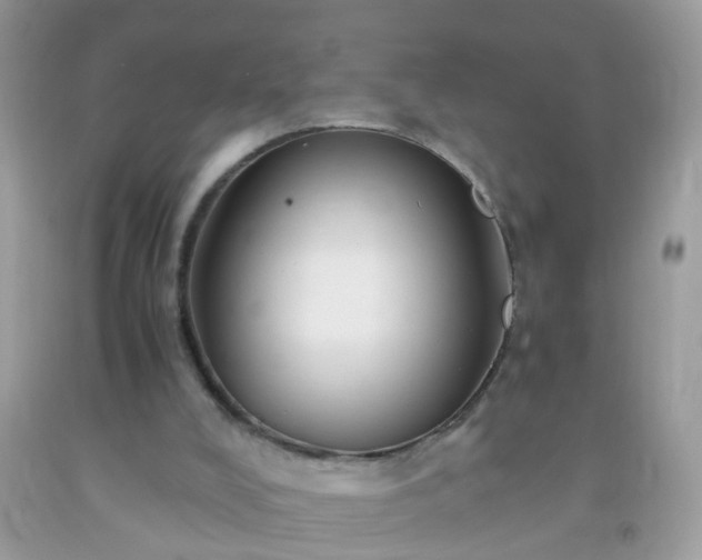 X0000093750008200710231242