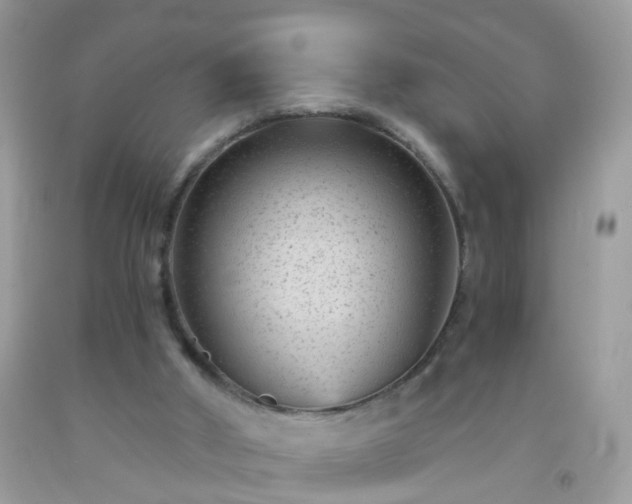 X0000093750010200710231241