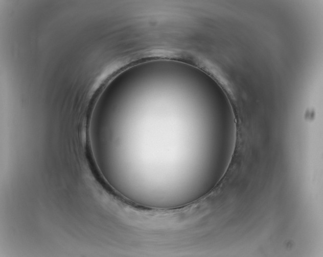 X0000093750011200710231241