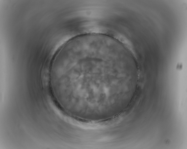 X0000093750012200710231241