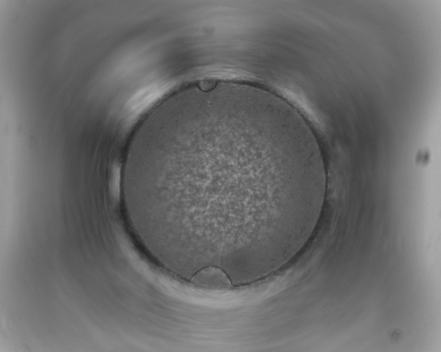 X0000093750014200710231241